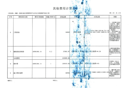 C266系列机型副本输出图像异常