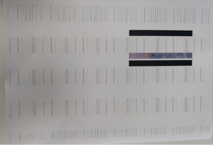 C458机器黑白正常,鸟图等彩色副本异常